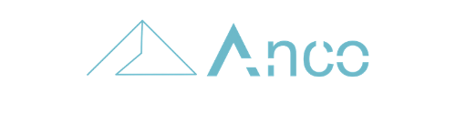 Professional Accountants (SA)